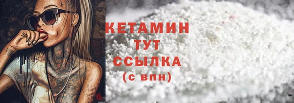 шишки Новозыбков