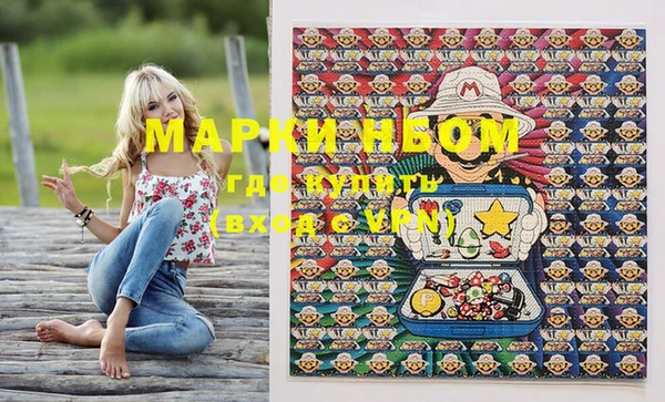 шишки Новозыбков