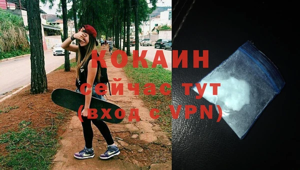 стаф Новокубанск