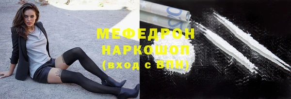 стаф Новокубанск