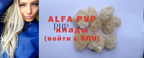 шишки Новозыбков