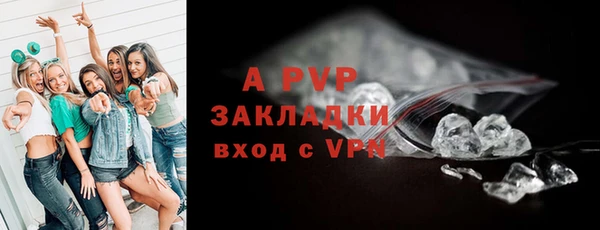 стаф Новокубанск