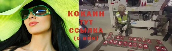 шишки Новозыбков