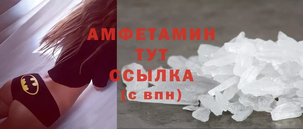 шишки Новозыбков