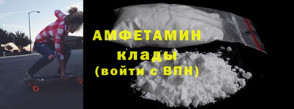 шишки Новозыбков