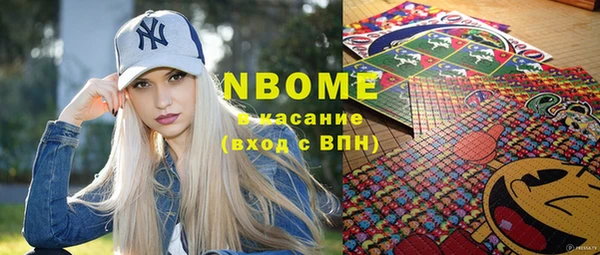 шишки Новозыбков