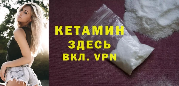 шишки Новозыбков