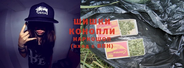 стаф Новокубанск