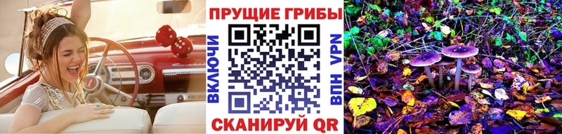 Псилоцибиновые грибы MAGIC MUSHROOMS  как найти   Юрга 