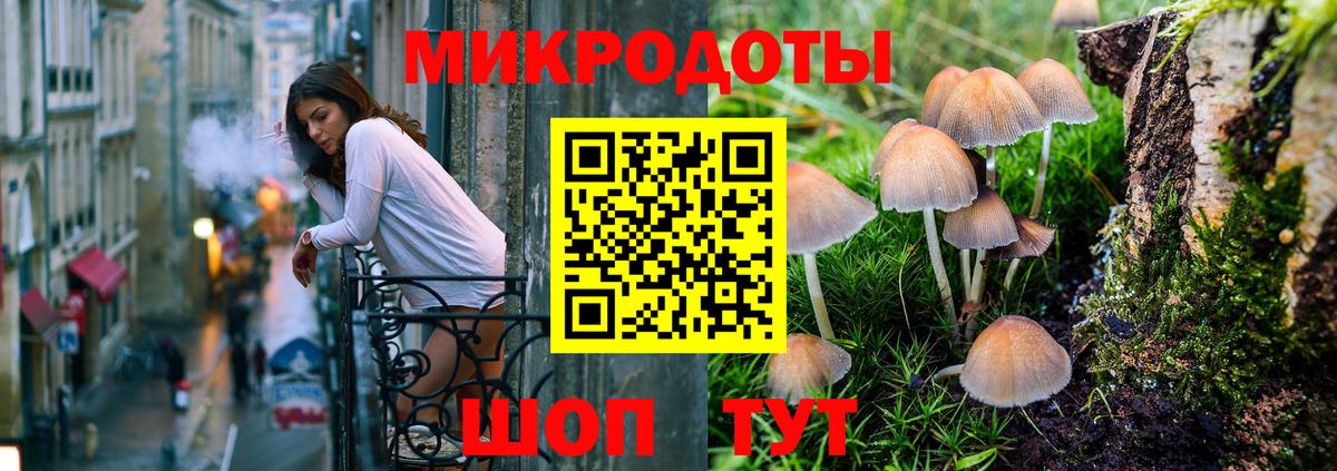 Юрга  Галлюциногенные грибы Psilocybe  цена   Вход с VPN 